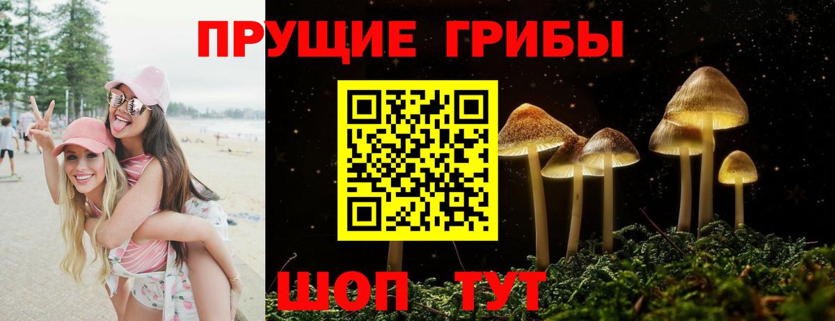 Элиста  Галлюциногенные грибы мицелий  Вход с VPN 